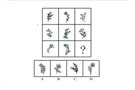公考真题：一眼就能看出来的答案，为什么还有选错的？