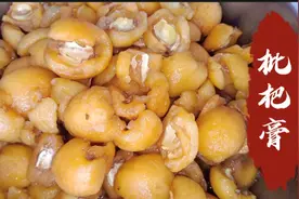 枇杷吃不完，剥皮去核做成枇杷膏，纯天然无添加，润肺止咳化痰！