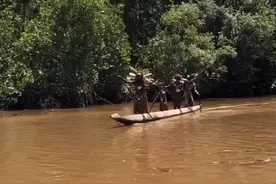 原始人阿斯玛特部落视频封面