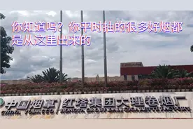 曾经的世界500强云南红塔集团，带动了整个云南经济，如今咋样啦视频封面