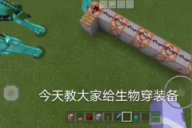 叫大家给生物手持物品穿装备，指令在评论区视频封面