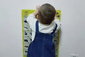 看图识动物！还能语音播报！棒棒哒！视频封面