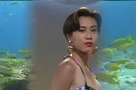 十二大美女封箱原唱歌曲《初恋的爱人》：叶启田视频封面