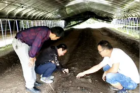 小伙养了一种不挑食的小动物，连猪粪牛粪都吃，养殖爱好者都注重