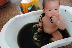 听老人说拿艾叶水给小孩泡澡可以治感冒发烧，艾叶具有清热作用视频封面