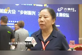 紫南村坚持不买一分地，发展文旅产业靠文化强村，称其为烟花经济视频封面