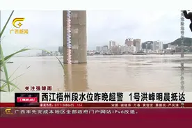 梧州西江水位超警，1号洪峰7月12日凌晨2点抵达视频封面