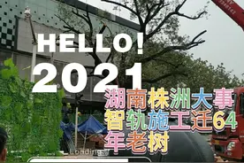 湖南株洲大喜事智轨施工拆建新华危桥移大树让智轨成为美丽风景视频封面