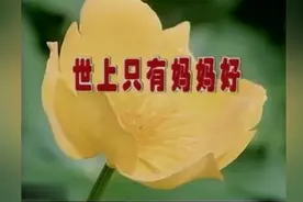 《世上只有妈妈好》 有妈的孩子像块宝，感受最伟大的母爱！