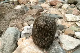 今天去捡石头，捡到一块圆形梅花石，用水一冲发现特别漂亮视频封面