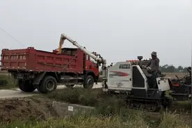 新型玉米收割机，不但可以收倒伏的玉米还能打成净籽，真厉害！