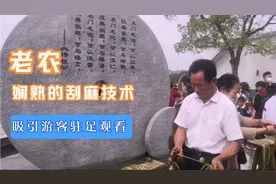 双林老农在刮苎麻，娴熟的技术令人称赞