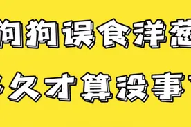 狗狗误食洋葱，如何解毒！？视频封面