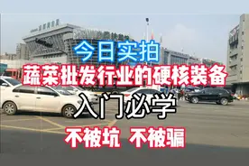 做蔬菜批发一年多小哥分享蔬菜行业入门小技巧，真是太实用了！