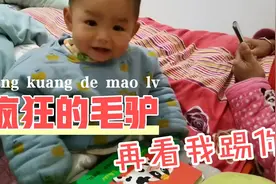 驴在哪里，一一找到了