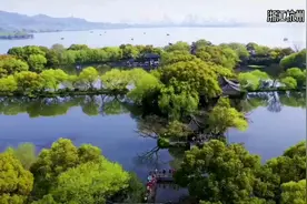 城市航拍：台湾省台北和浙江省杭州城建航拍，哪个更像一线城市视频封面