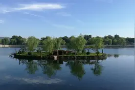 疫情难掩什刹海的神韵，野鸭嬉戏游船停航，一个多么宁静的夏天视频封面