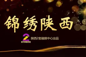 锦绣陕西——西咸新区沣西新城视频封面