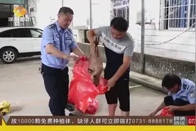 执法进行时！永州江华警方收缴1490只野生动物，放生800多只视频封面