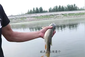 什么样的天气最适合垂钓？这几种情况直接决定渔获，快来学习一下视频封面