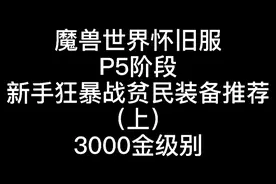 魔兽世界P5阶段入门狂暴战装备推荐（3000金级别）视频封面