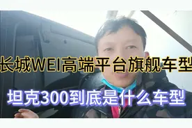 坦克300基于长城WEI高端打造旗舰车型，性价比三大件到底怎样？视频封面