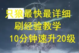 《只狼》前中后期快速刷钱、刷经验点（看简介）视频封面