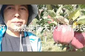 白露节气到了，花牛苹果熟了！教大家认识真正的花牛苹果长什么样视频封面