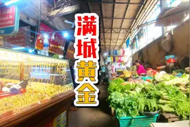 柬埔寨这个地方到处是金矿，黄金直接摆在菜市场里卖视频封面