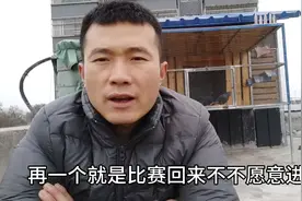 怎样能让鸽子快速进鸽棚？养鸽小伙告诉大家，值得收藏！视频封面