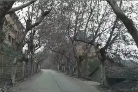去看看荒凉的三线老厂-四川彭州视频封面