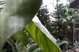 深圳拉响防空警报