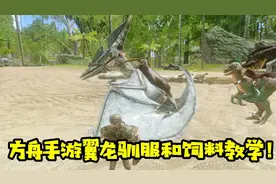 方舟手游教学06：无齿翼龙驯服完整教学，包括鞍和饲料的制作！