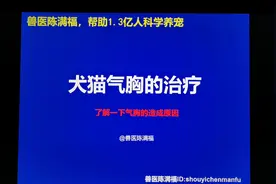 20201014期 兽医陈满福告诉你犬猫气胸的治疗和预防视频封面