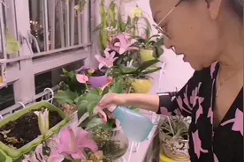 香港中环白领丽人May姐姐，周末在家都做什么？ 大公开视频封面