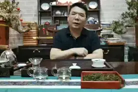 景迈山古树螃蟹脚 2020年 
螃蟹脚以景迈山产视频封面