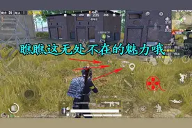 和平精英系列1：永远猜不透队友在干啥，是惊喜还是惊吓？