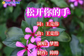 梦然一曲伤感情歌《松开你的手》DJ版，唱出了多少人的无奈视频封面