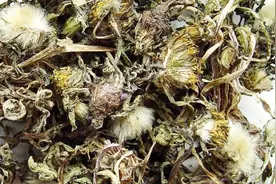 嗓子疼痛咽炎，教你1款茶饮，早上喝，清火降火，缓解咽喉痛！