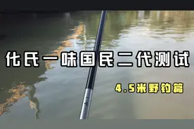 化氏一味国民二代4.5米野钓测试，一款37调性适合野钓的竿子视频封面
