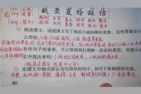 三年级语文上册第19课《海滨小城》课后习题讲解视频封面