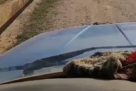 陆良庄上修路视频封面