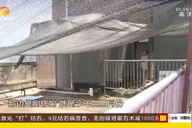 18层楼房顶楼竟将屋顶上加盖阳光房，公共区域，到底谁搭建违建？视频封面