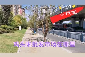 小玳姐浒关鸡头米批发市场买芡实，机器剥出来的不知口感如何？视频封面