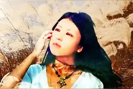 三毛与王洛宾，情到深处是孤独 #历史 #三毛  @抖音短视频视频封面