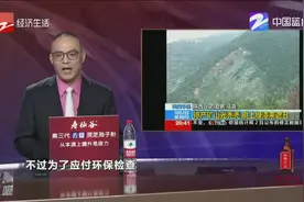 山东新泰一石料厂为应付环保检查，光秃秃矿山刷上绿漆视频封面
