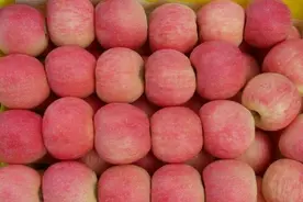 苹果根本不必放冰箱保存！一个“土法子”，放半年照样甘甜多汁视频封面