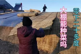 张家口的天零下二十多度真够冷，蔬菜大棚里才8度，一年只种三茬视频封面