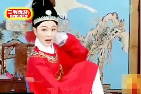 黄梅戏新秀，跟大师有差距吗《女驸马》黄梅新人榜首，美人好听视频封面