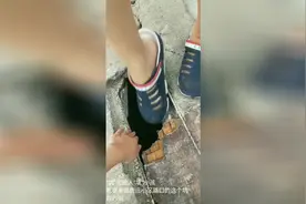 泰安老泰莱路真“坑人”！市民大呼被摔惨了...视频封面